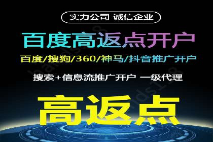 SEM代理助力品牌：案例解析与优化策略